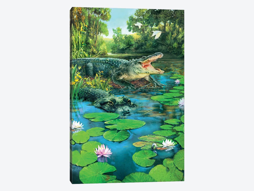Alligators by Greg Giordano 1-piece Canvas Art Print