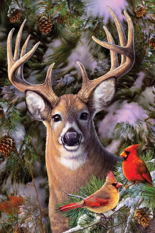 Deer & Cardinals