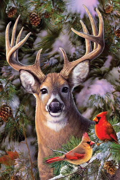 Greg & Company: Deer & Cardinals by Greg Giordano