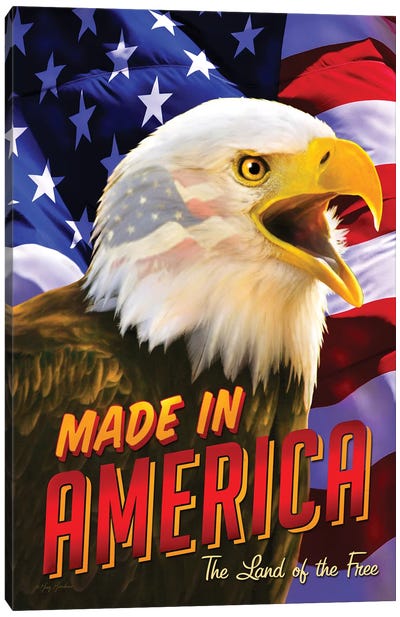 Eagle & Flag Canvas Art Print - Flag Art