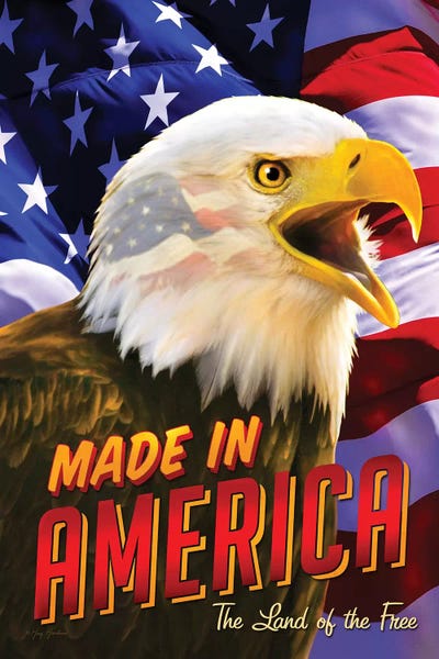 Greg & Company: Eagle & Flag by Greg Giordano