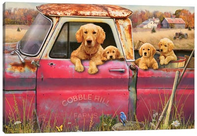 Goldens And Truck Canvas Art Print - Dog Art