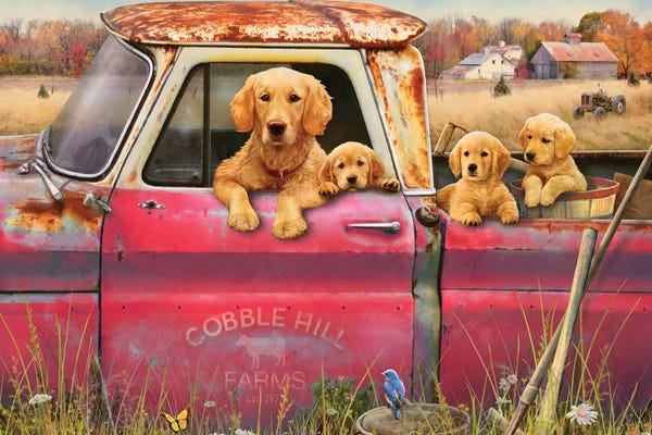 By Land: Goldens And Truck by Greg Giordano