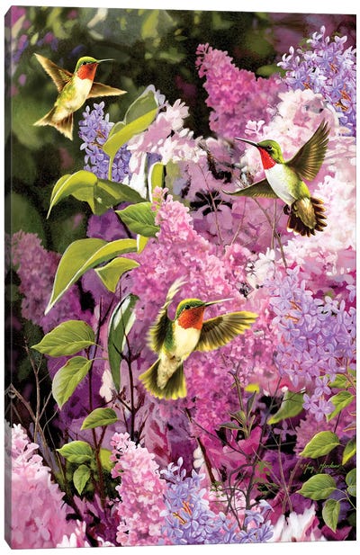 Hummingbirds & Lilac Canvas Art Print - Lilac Art