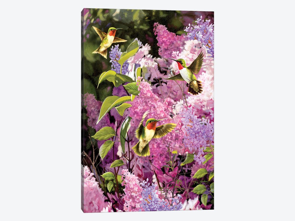Hummingbirds & Lilac by Greg Giordano 1-piece Canvas Art
