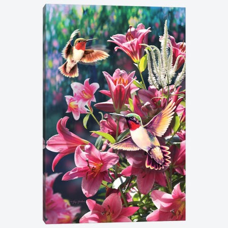 Hummingbird & Lilies Canvas Print #GRC28} by Greg Giordano Canvas Artwork