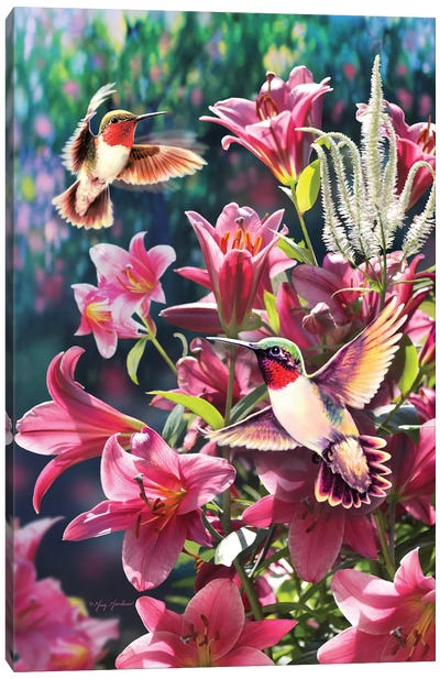 Hummingbird & Lilies Canvas Art Print - Hummingbird Art