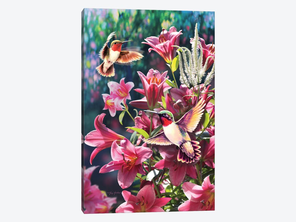 Hummingbird & Lilies by Greg Giordano 1-piece Canvas Print