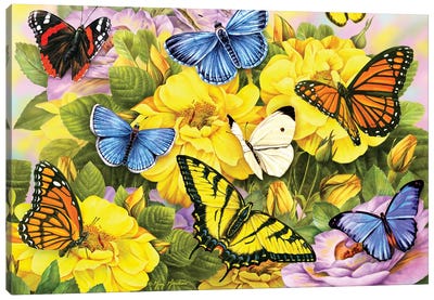 Multi-Colored Butterflies Canvas Art Print - Monarch Butterflies