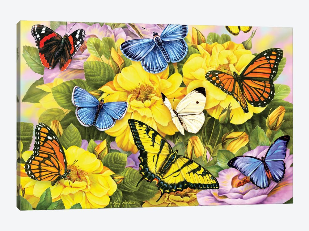 Multi Colored Butterflies by Greg & Company 1-piece Canvas Print