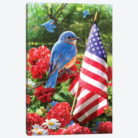 Patriotic Bluebird Canvas Print #GRC41} by Greg Giordano Canvas Artwork