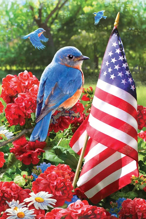 Patriotic Bluebird by Greg Giordano wall art