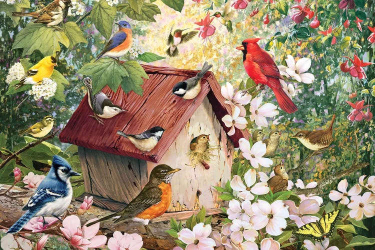 Spring Birds And Birdhouse