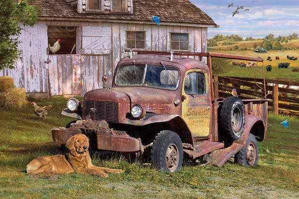 Trucks: Stuart's Vintage Truck by Greg Giordano