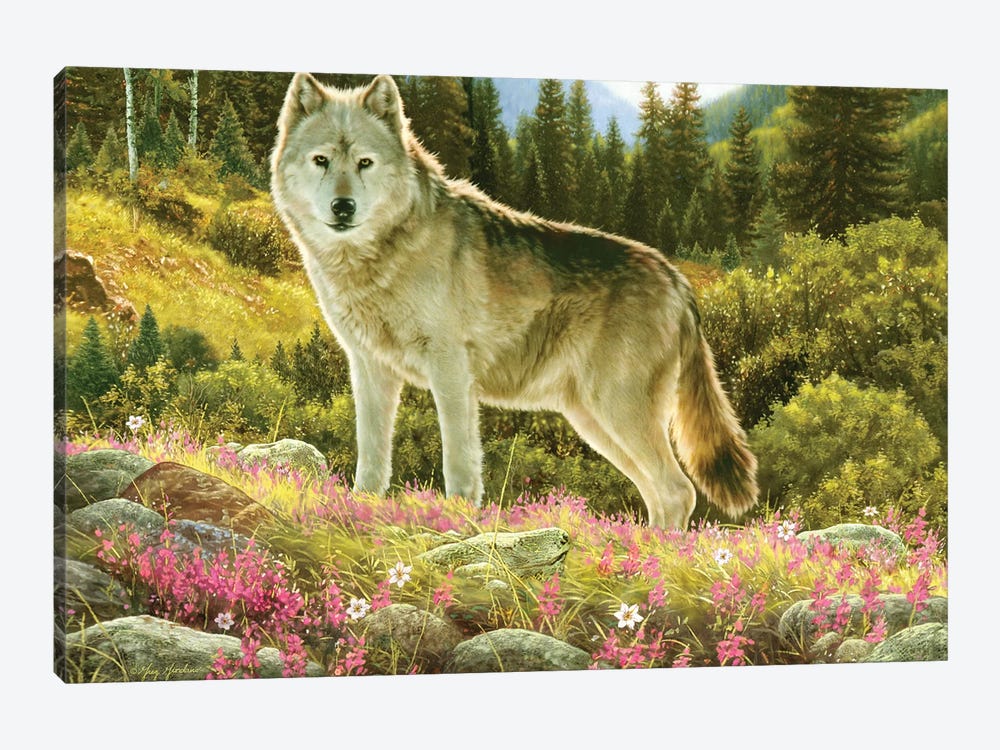 Summer Wolf by Greg Giordano 1-piece Canvas Art