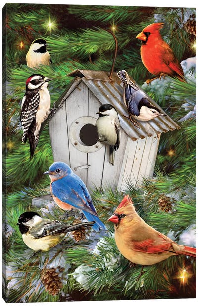 Winter Birdhouse & Pines Canvas Art Print