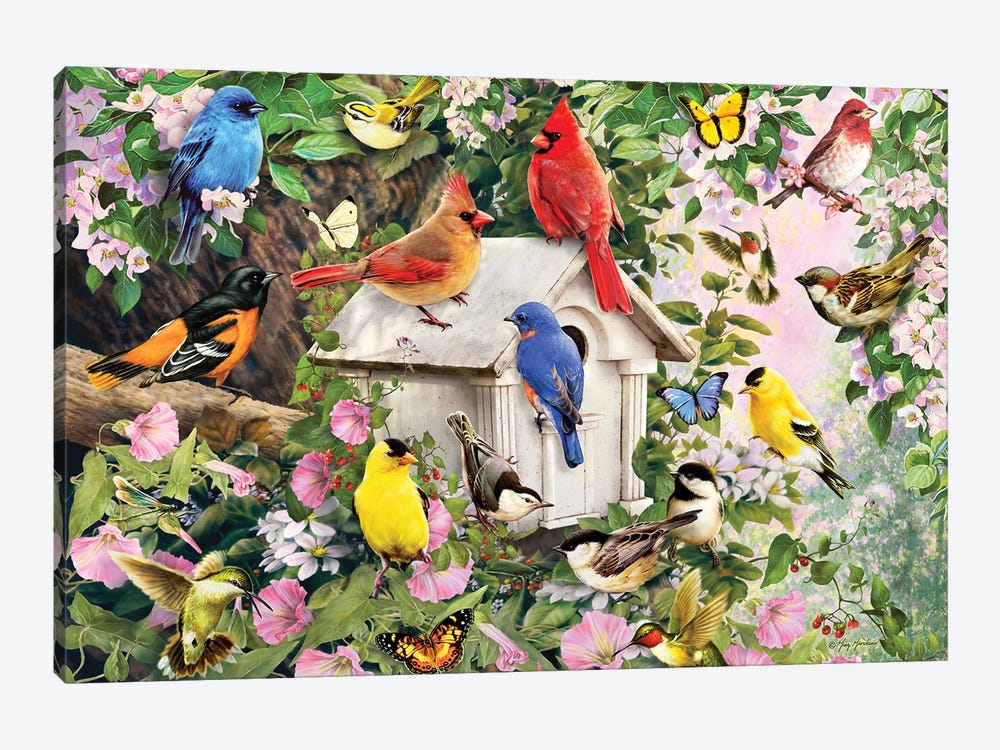 Birds At Birdhouse by Greg Giordano 1-piece Canvas Print