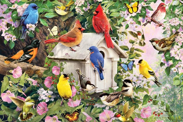 Greg Giordano: Birds At Birdhouse by Greg Giordano