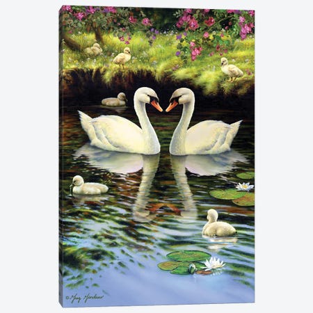 Swan Family Canvas Print #GRC64} by Greg Giordano Canvas Print