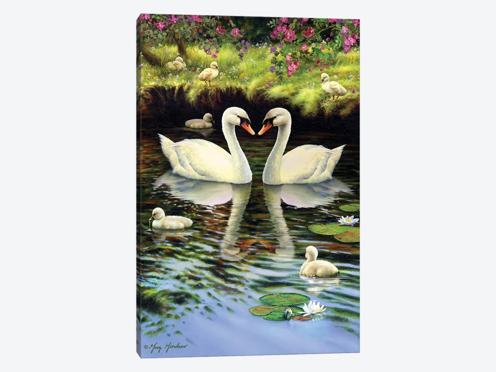 Swan Family by Greg Giordano 1-piece Canvas Print