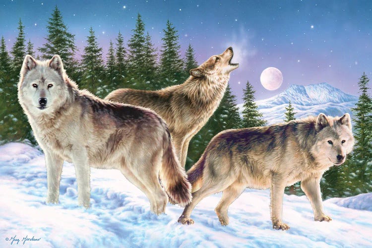 Wolves by Greg Giordano wall art
