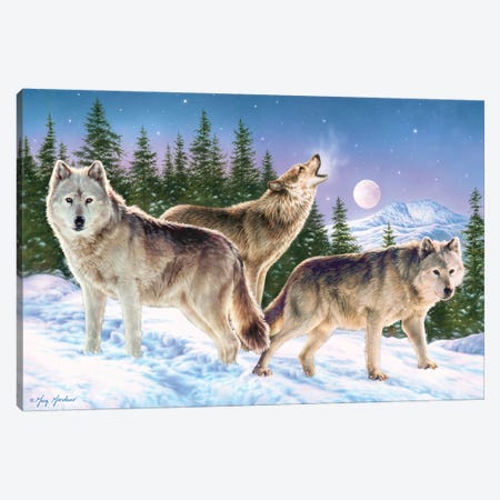 Wolves Canvas Print #GRC67} by Greg Giordano Canvas Print