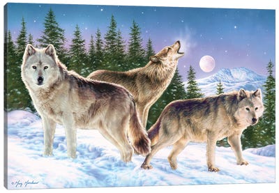 Wolves Canvas Art Print - Greg & Company