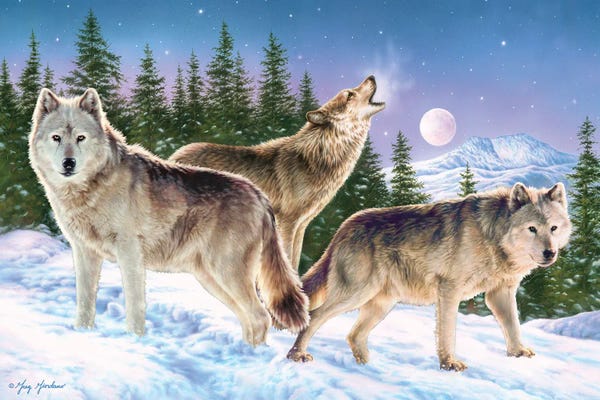 Wolves: Wolves by Greg Giordano