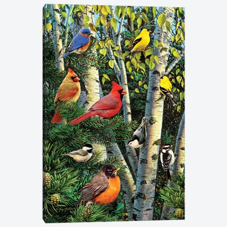 Birds In Birch & Pines Canvas Print #GRC6} by Greg Giordano Canvas Wall Art