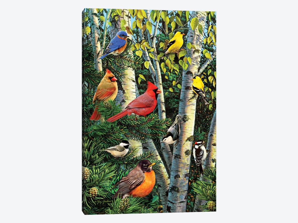 Birds In Birch & Pines by Greg Giordano 1-piece Canvas Wall Art