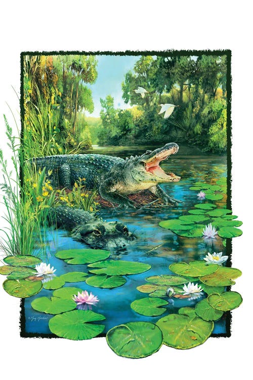 Alligator by Greg Giordano wall art