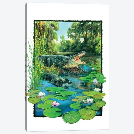 Alligator Canvas Print #GRC70} by Greg Giordano Canvas Art Print