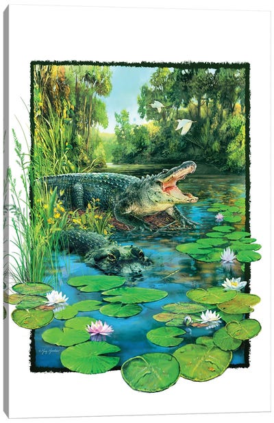 Alligator Canvas Art Print - Greg & Company