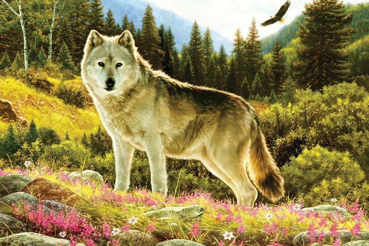Summer Wolf by Greg Giordano wall art