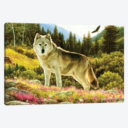 Summer Wolf Canvas Print #GRC71} by Greg Giordano Canvas Print