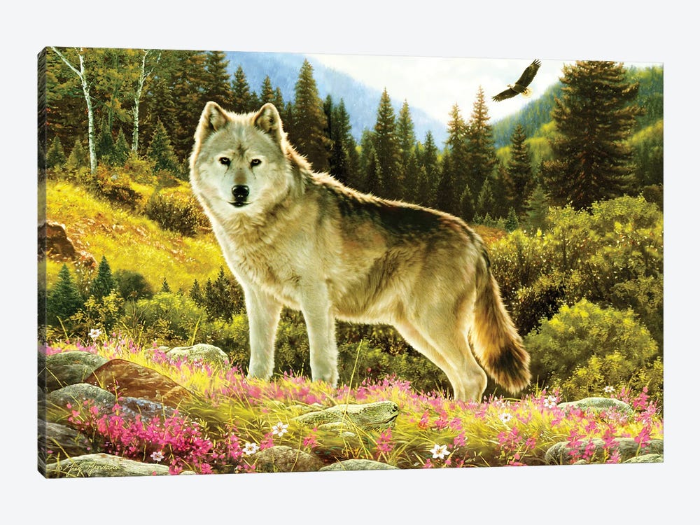 Summer Wolf by Greg Giordano 1-piece Canvas Art Print