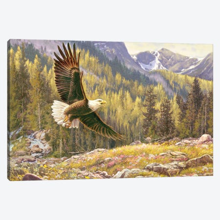 Above The Falls-Eagle Canvas Print #GRC72} by Greg & Company Canvas Print
