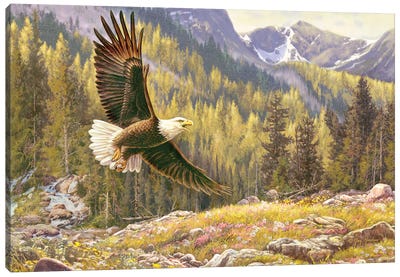Above The Falls-Eagle Canvas Art Print - Eagle Art