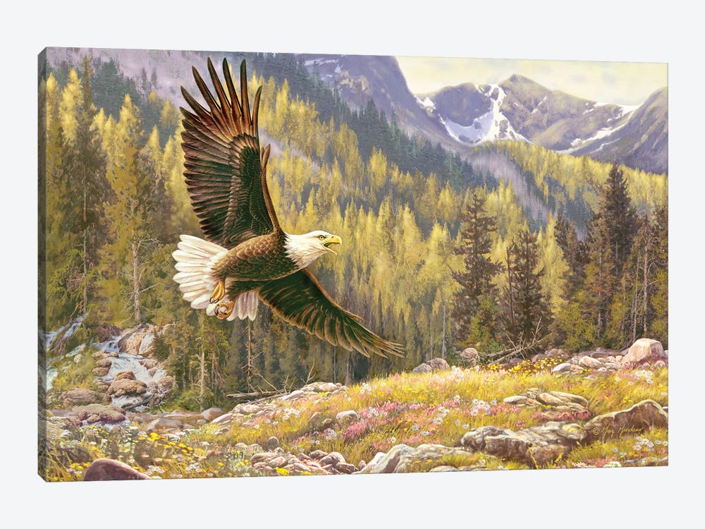 Above The Falls-Eagle by Greg Giordano 1-piece Canvas Wall Art