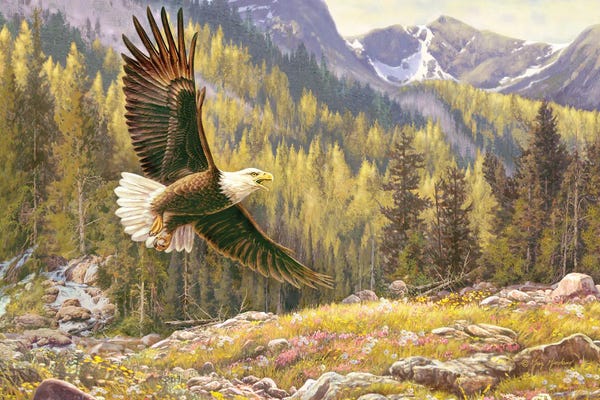 Greg & Company: Above The Falls-Eagle by Greg Giordano