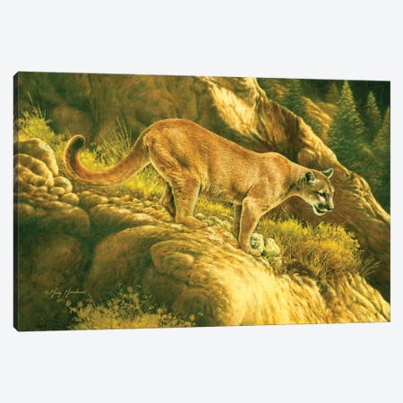 Mountain Lion Canvas Print #GRC73} by Greg Giordano Canvas Art Print