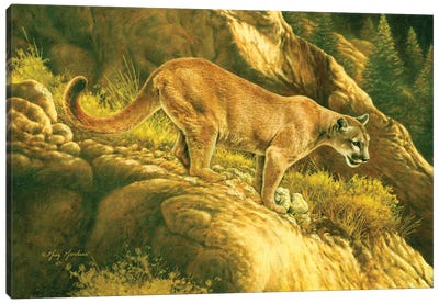 Mountain Lion Canvas Art Print