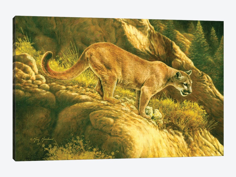 Mountain Lion by Greg Giordano 1-piece Art Print