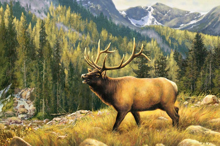 Mountain Majesty-Elk by Greg Giordano wall art