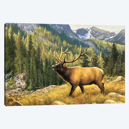 Mountain Majesty-Elk Canvas Print #GRC74} by Greg & Company Canvas Wall Art