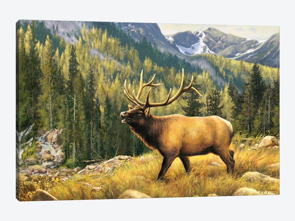 Mountain Majesty-Elk by Greg Giordano 1-piece Canvas Artwork