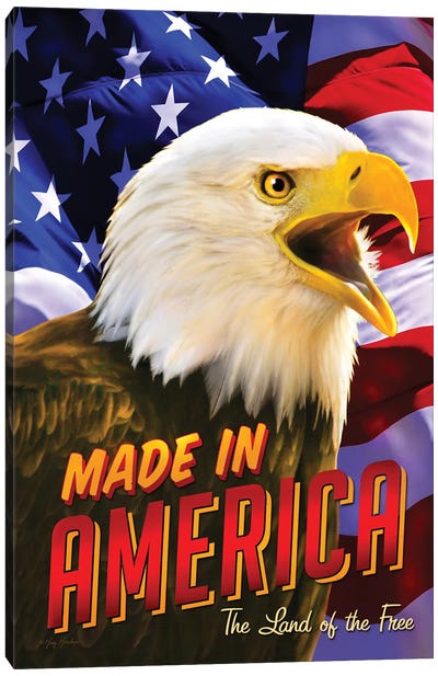 Eagle & Flag Canvas Art Print - Greg & Company