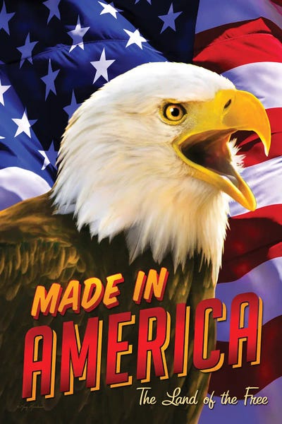 Greg & Company: Eagle & Flag by Greg Giordano