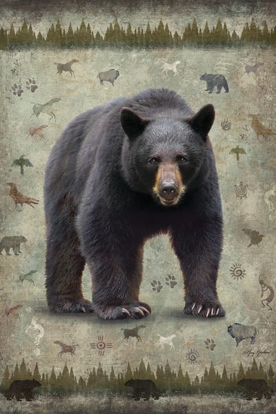 Greg & Company: Black Bear by Greg Giordano