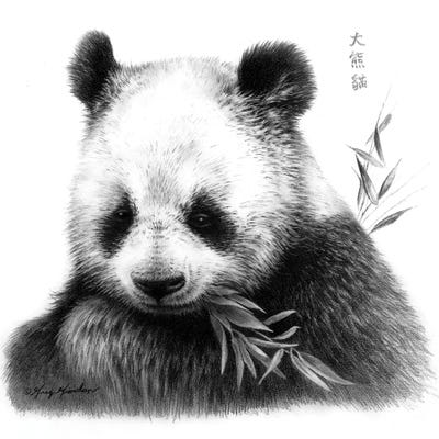 Panda I Canvas Art by Greg Giordano | iCanvas